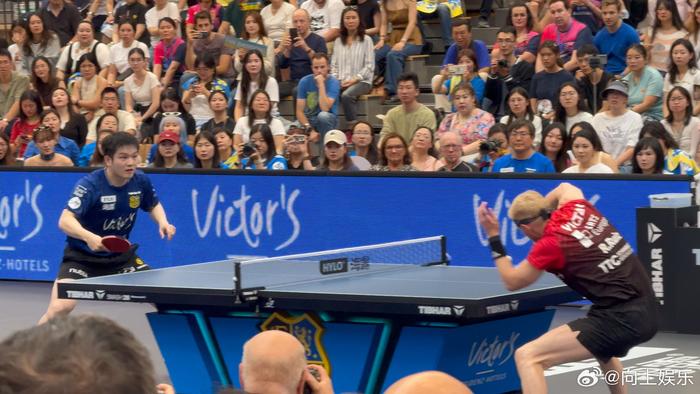 开云-樊振东赛场拼搏汗水闪耀颜值吸睛